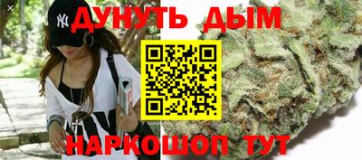 амф Дубна