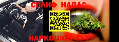 амф Дубна
