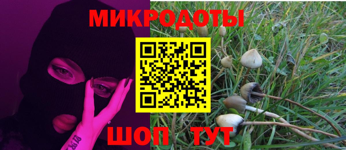 Галлюциногенные грибы прущие грибы  Вход с VPN  Буйнакск  Псилоцибиновые грибы ЛСД 